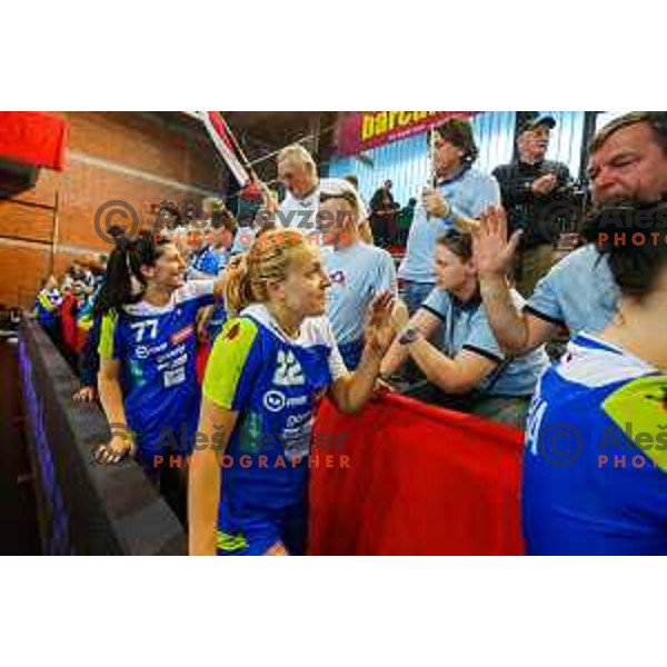 Sanja Gregorc of Slovenia during handball match between Slovenia and Switzerland in qualification for EHF Euro Hungary - Croatia 2014 played in Kodeljevo Hall, Ljubljana, Slovenia on March 30, 2014