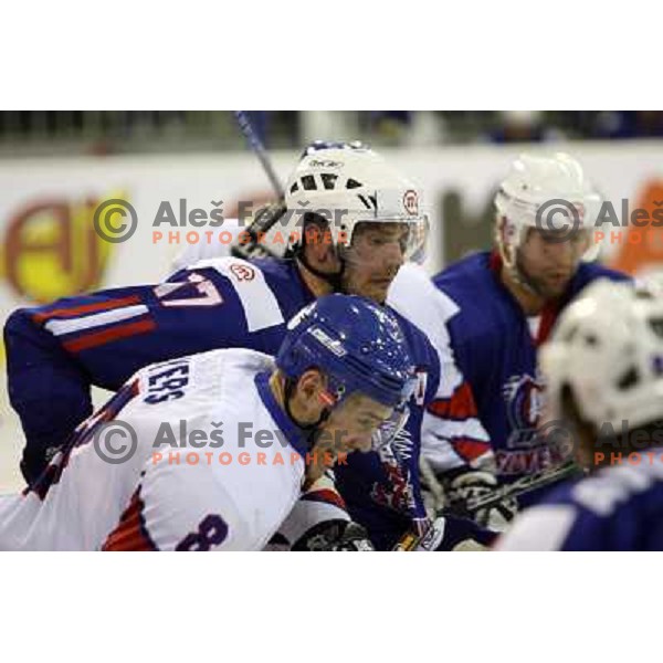 Golicic at match Slovenia- Great Britain at World Championship Division 1 group B in Ljubljana.Photo by Ales Fevzer 