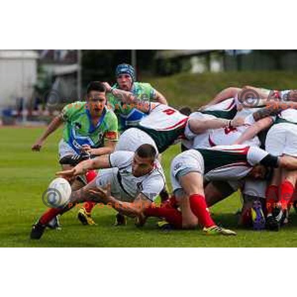 Rugby match between Slovenia and Bulgaria played in Ljubljana, Slovenija on April 12, 2014
