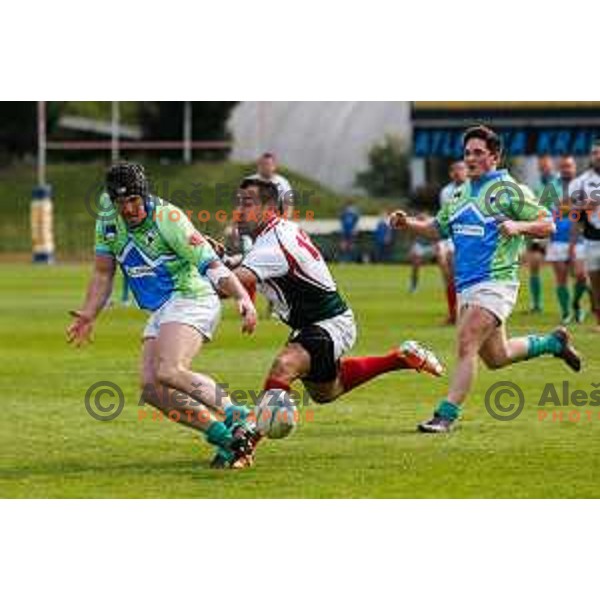 Rugby match between Slovenia and Bulgaria played in Ljubljana, Slovenija on April 12, 2014