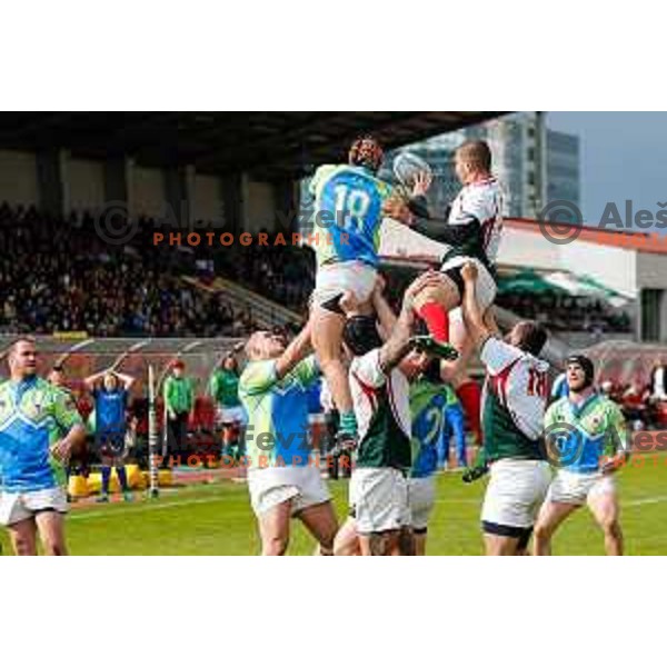 Rugby match between Slovenia and Bulgaria played in Ljubljana, Slovenija on April 12, 2014