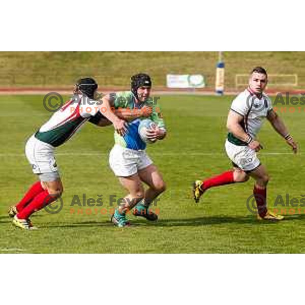 Rugby match between Slovenia and Bulgaria played in Ljubljana, Slovenija on April 12, 2014
