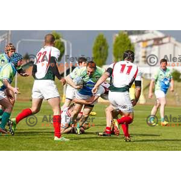 Rugby match between Slovenia and Bulgaria played in Ljubljana, Slovenija on April 12, 2014