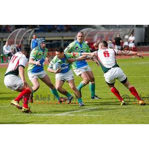 Rugby match between Slovenia and Bulgaria played in Ljubljana, Slovenija on April 12, 2014