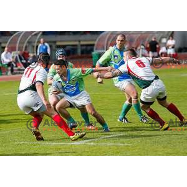 Rugby match between Slovenia and Bulgaria played in Ljubljana, Slovenija on April 12, 2014
