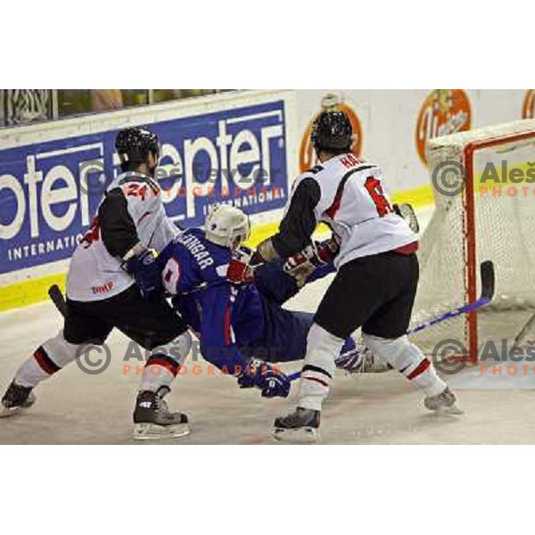 Razingar at match Slovenia- Japan at World Championship Division 1 group B in Ljubljana.Photo by Ales Fevzer 