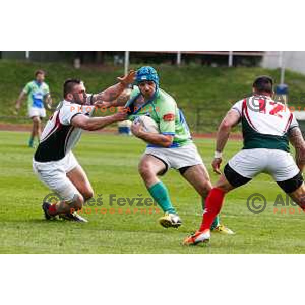 Rugby match between Slovenia and Bulgaria played in Ljubljana, Slovenija on April 12, 2014