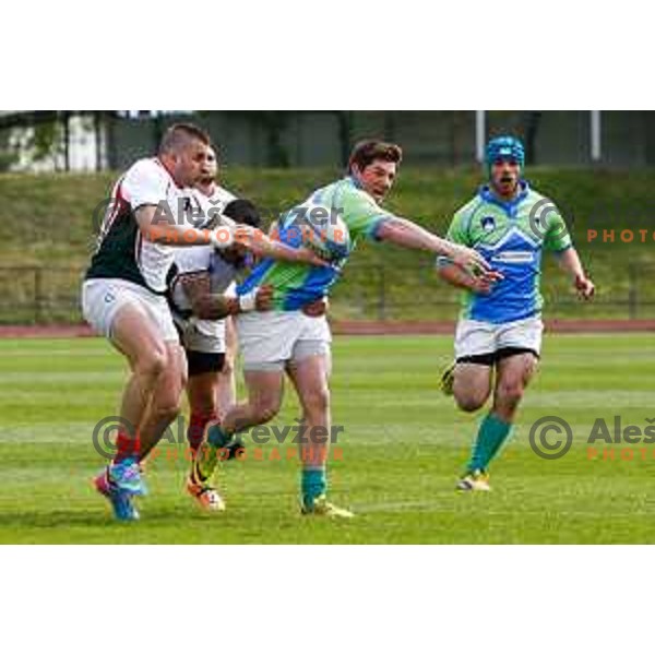 Rugby match between Slovenia and Bulgaria played in Ljubljana, Slovenija on April 12, 2014