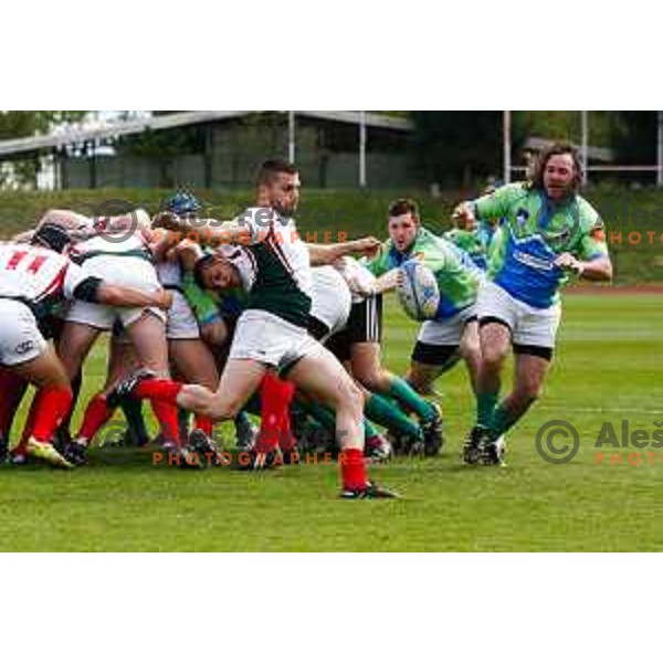Rugby match between Slovenia and Bulgaria played in Ljubljana, Slovenija on April 12, 2014