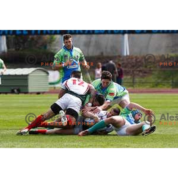 Rugby match between Slovenia and Bulgaria played in Ljubljana, Slovenija on April 12, 2014