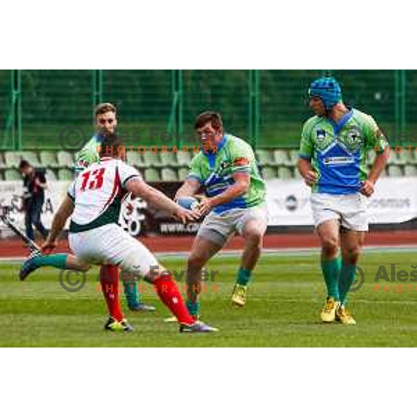 Rugby match between Slovenia and Bulgaria played in Ljubljana, Slovenija on April 12, 2014