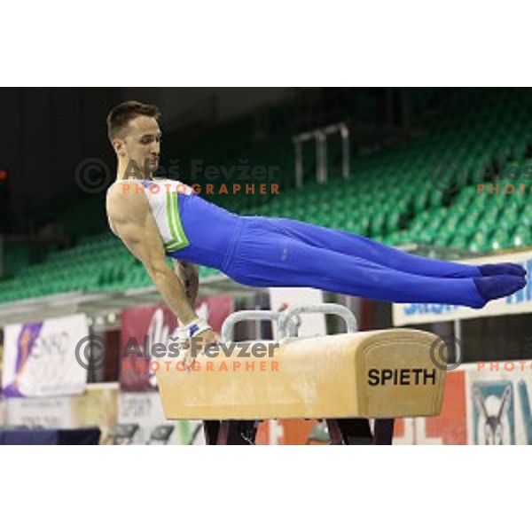 Saso Bertoncelj of Slovenia competing in the final of Pommel Horse during Artistic Gymnastics World Challenge Cup in Hala Tivoli, Ljubljana, Slovenia on April 19, 2014
