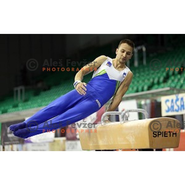 Saso Bertoncelj of Slovenia competing in the final of Pommel Horse during Artistic Gymnastics World Challenge Cup in Hala Tivoli, Ljubljana, Slovenia on April 19, 2014