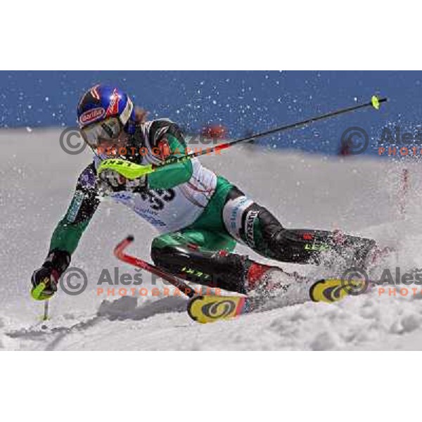 Tomaz Velecic at slalom race for Slovenian National Championship at Krvavec Ski Resort.Photo by Ales Fevzer 