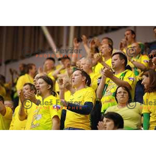 Florjani, fans of Celje Pivovarna Lasko in action during 1.NLB leasing league handball match Celje PL- Maribor Branik, played in Arena Zlatorog, Celje, Slovenia on May 16, 2014