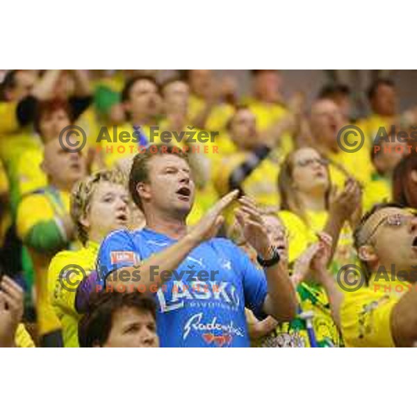 Florjani, fans of Celje Pivovarna Lasko in action during 1.NLB leasing league handball match Celje PL- Maribor Branik, played in Arena Zlatorog, Celje, Slovenia on May 16, 2014