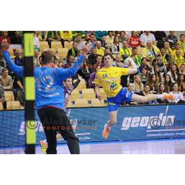 Nemanja Zelenovic of Celje Pivovarna Lasko in action during 1.NLB leasing league handball match Celje PL- Maribor Branik, played in Arena Zlatorog, Celje, Slovenia on May 16, 2014