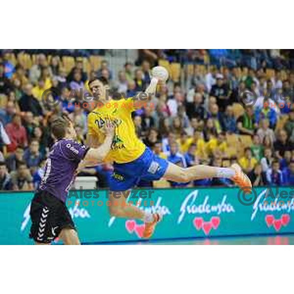 Nemanja Zelenovic of Celje Pivovarna Lasko in action during 1.NLB leasing league handball match Celje PL- Maribor Branik, played in Arena Zlatorog, Celje, Slovenia on May 16, 2014