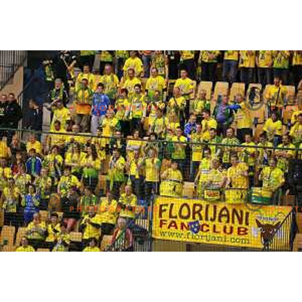 Florjani, fans of Celje Pivovarna Lasko in action during 1.NLB leasing league handball match Celje PL- Maribor Branik, played in Arena Zlatorog, Celje, Slovenia on May 16, 2014