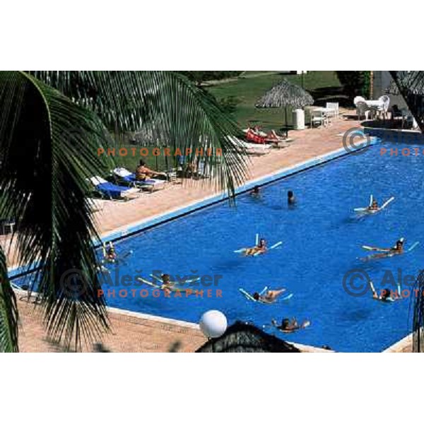 Tourists in the pool, Tahiti 