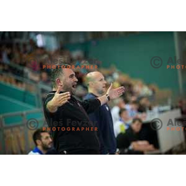 Denic Boris in action during friendly handball match between Slovenia and Austria on June 2, 2014, Maribor
