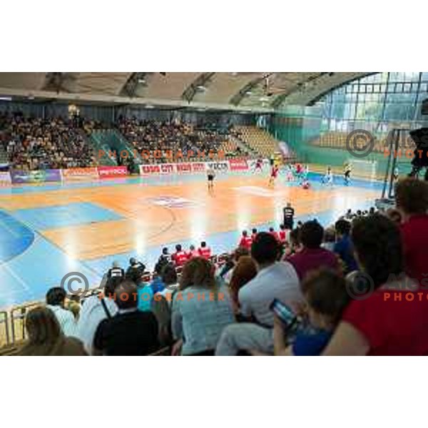 in action during friendly handball match between Slovenia and Austria on June 2, 2014, Maribor