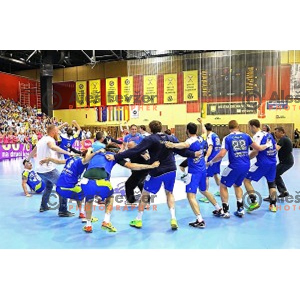 Players of Slovenia celebrate victory in qualification match for Qatar 2015 World Handball Championships between Slovenia and Hungary, played in Red Hall, Velenje on June 15, 2014