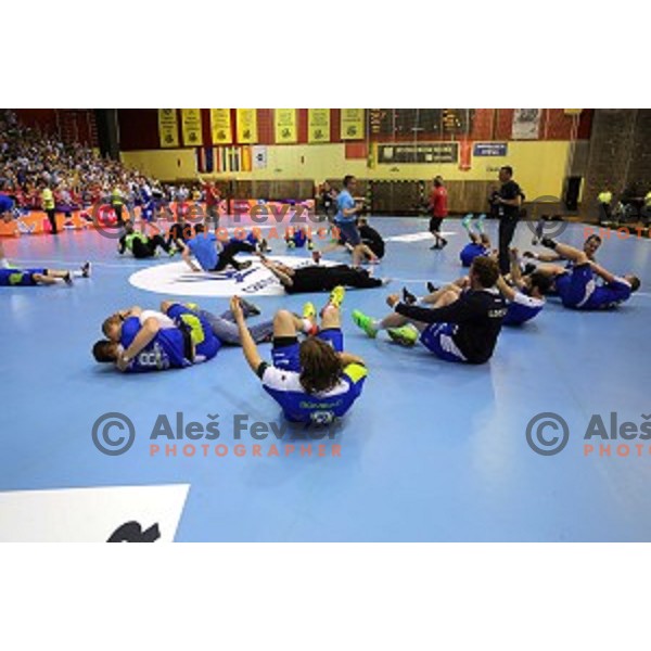 Players of Slovenia celebrate victory in qualification match for Qatar 2015 World Handball Championships between Slovenia and Hungary, played in Red Hall, Velenje on June 15, 2014