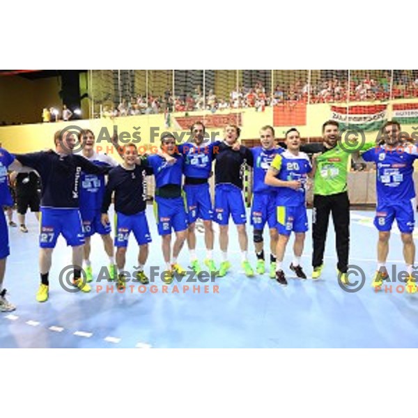 Players of Slovenia celebrate victory in qualification match for Qatar 2015 World Handball Championships between Slovenia and Hungary, played in Red Hall, Velenje on June 15, 2014