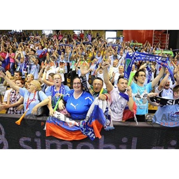 Fans of Slovenia in action at qualification match for Qatar 2015 World Handball Championships between Slovenia and Hungary, played in Red Hall, Velenje on June 15, 2014