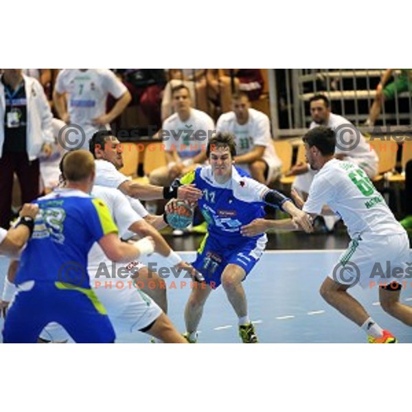 Sebastjan Skube of Slovenia in action at qualification match for Qatar 2015 World Handball Championships between Slovenia and Hungary, played in Red Hall, Velenje on June 15, 2014