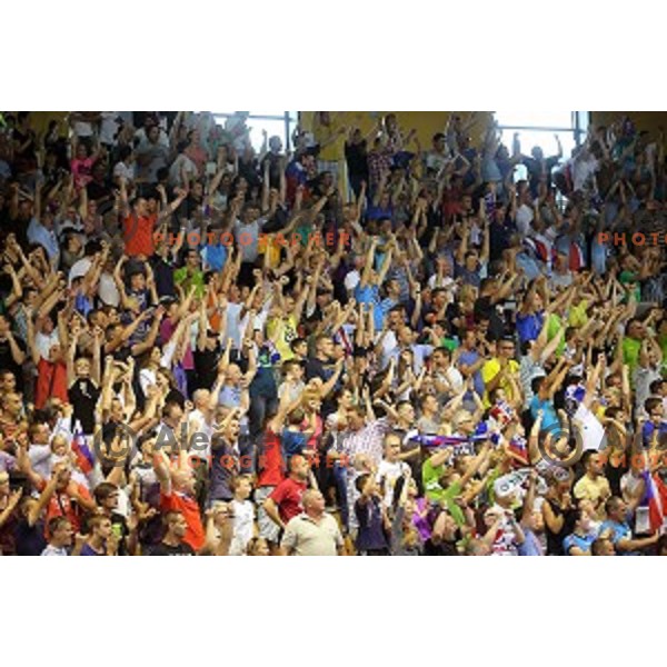 Fans of Slovenia in action at qualification match for Qatar 2015 World Handball Championships between Slovenia and Hungary, played in Red Hall, Velenje on June 15, 2014