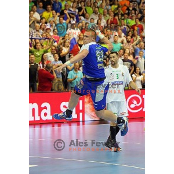 Gaber of Slovenia in action at qualification match for Qatar 2015 World Handball Championships between Slovenia and Hungary, played in Red Hall, Velenje on June 15, 2014