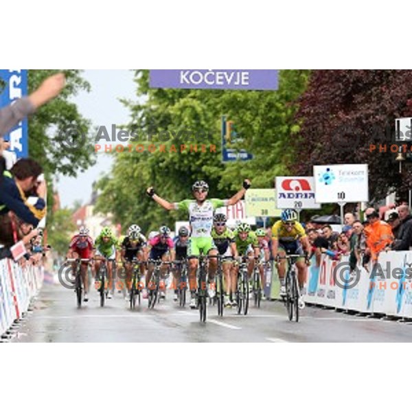 Sonny Colbrelli of Italy winner of Tour de Slovenie second stage Ribnica-Kocevje ( 160 km) on June 20, 2014