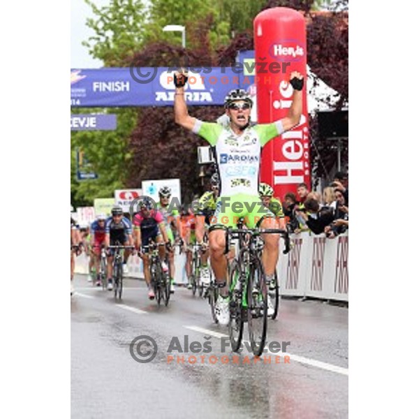 Sonny Colbrelli of Italy winner of Tour de Slovenie second stage Ribnica-Kocevje ( 160 km) on June 20, 2014