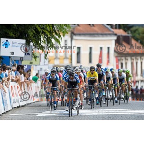 at finish of stage 4 of Tour de Slovenie, Novo Mesto, Slovenia, 22.06.2014