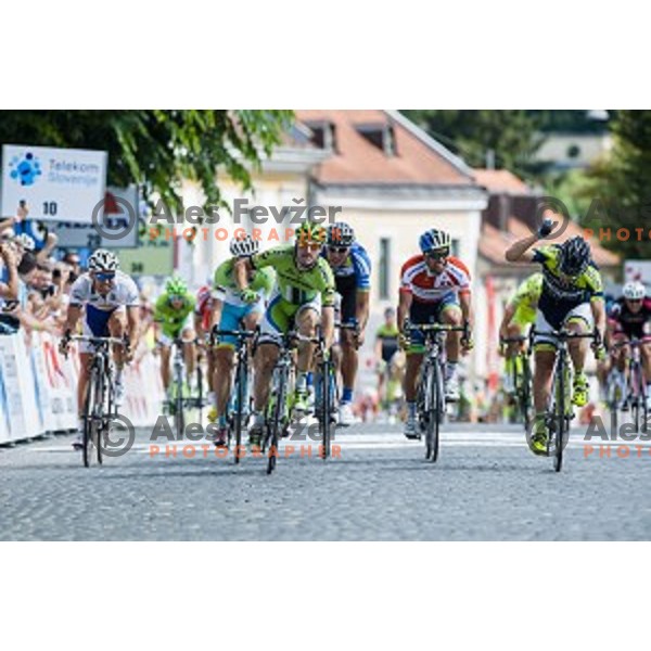 Elia Viviani at finish of stage 4 of Tour de Slovenie, Novo Mesto, Slovenia, 22.06.2014