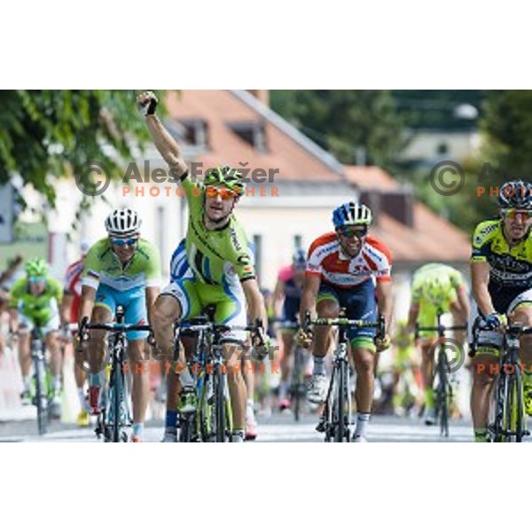 Elia Viviani at finish of stage 4 of Tour de Slovenie, Novo Mesto, Slovenia, 22.06.2014