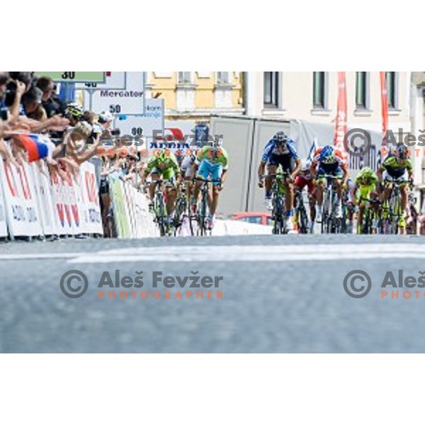 Elia Viviani at finish of stage 4 of Tour de Slovenie, Novo Mesto, Slovenia, 22.06.2014