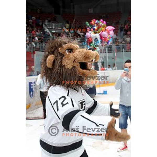 presentation of Stanley Cup to slovenian fans in Podmezakla Hall, Jesenice on July 13, 2014