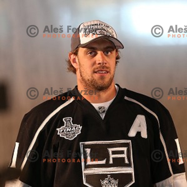 NHL star Anze Kopitar of LA Kings at presentation of Stanley Cup to slovenian fans in Podmezakla Hall, Jesenice on July 13, 2014