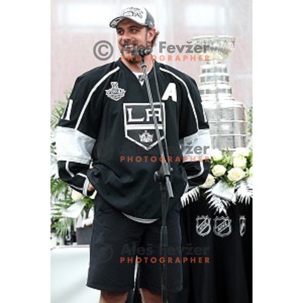 NHL star Anze Kopitar of LA Kings at presentation of Stanley Cup to slovenian fans in Podmezakla Hall, Jesenice on July 13, 2014