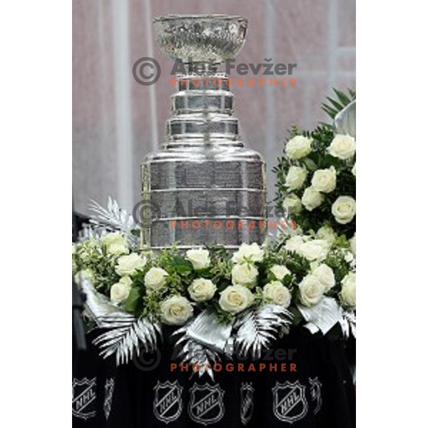 NHL star Anze Kopitar of LA Kings at presentation of Stanley Cup to slovenian fans in Podmezakla Hall, Jesenice on July 13, 2014