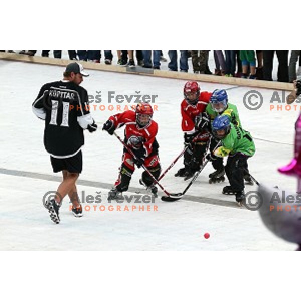 NHL star Anze Kopitar of LA Kings at presentation of Stanley Cup to slovenian fans in Podmezakla Hall, Jesenice on July 13, 2014