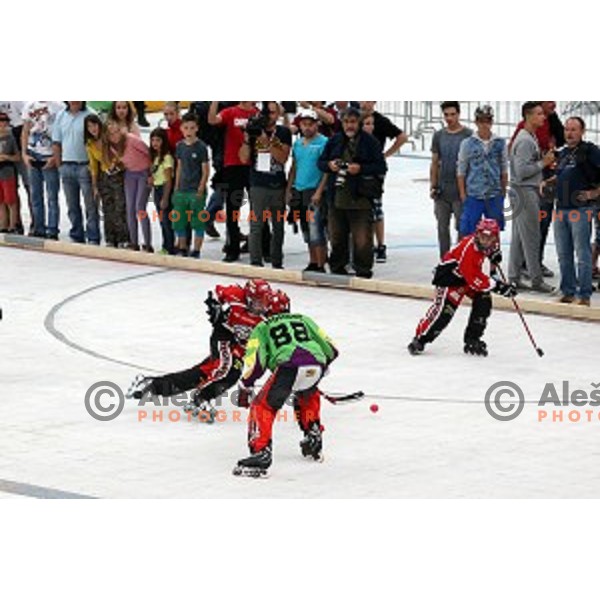 presentation of Stanley Cup to slovenian fans in Podmezakla Hall, Jesenice on July 13, 2014