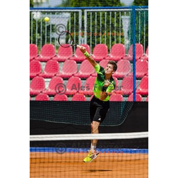 Aljaz Bedene of Slovenia in action during first qualifying match of 25. Vegeta Croatia Open Umag-ATP World Tour, played in ATP Stadion Umag, Umag, Croatia, on July 19, 2014
