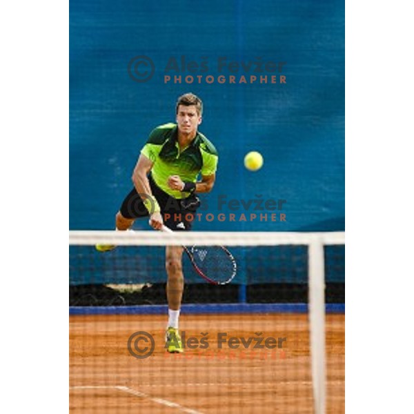 Aljaz Bedene of Slovenia in action during final qualifying match of 25. Vegeta Croatia Open Umag-ATP World Tour, played in ATP Stadion Umag, Umag, Croatia, on July 21, 2014