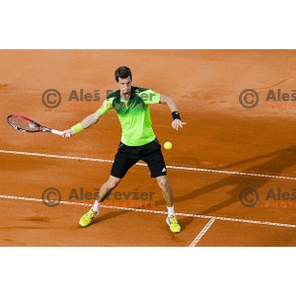 Aljaz Bedene of Slovenia in action during final qualifying match of 25. Vegeta Croatia Open Umag-ATP World Tour, played in ATP Stadion Umag, Umag, Croatia, on July 21, 2014