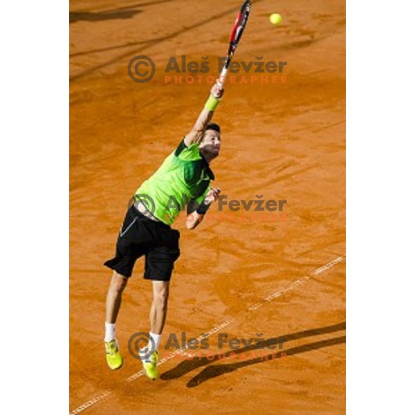 Aljaz Bedene of Slovenia in action during final qualifying match of 25. Vegeta Croatia Open Umag-ATP World Tour, played in ATP Stadion Umag, Umag, Croatia, on July 21, 2014