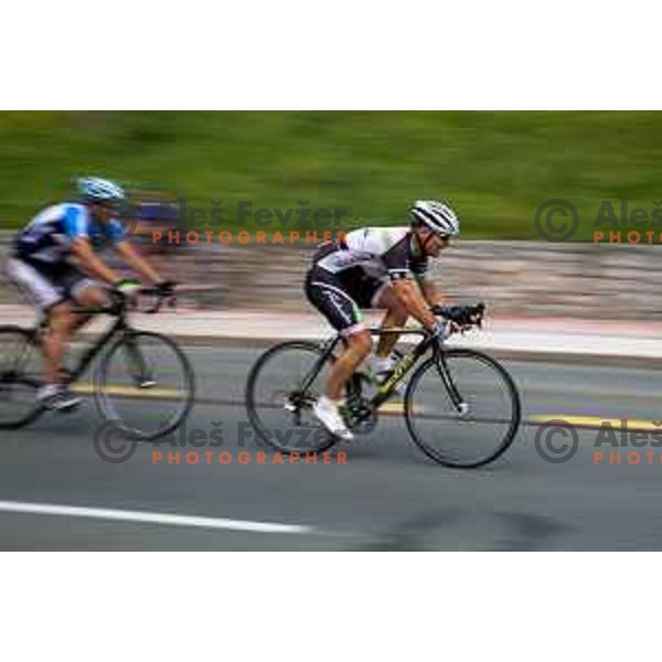 UWCT Final 2014, amateur cycling race in Ljubljana, Slovenia on August 31, 2014